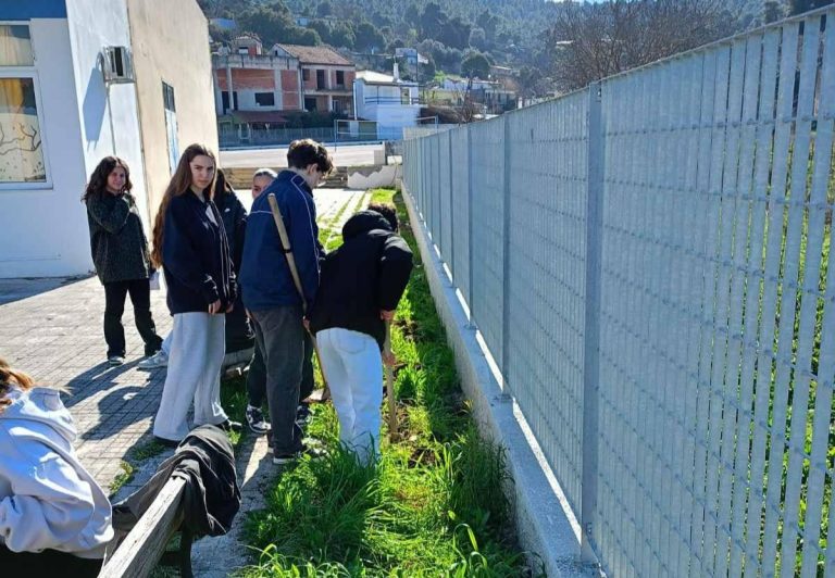 Εύβοια: Μαθητές φύτεψαν δέντρα στο προαύλιο σχολείου στέλνοντας μήνυμα ζωής…